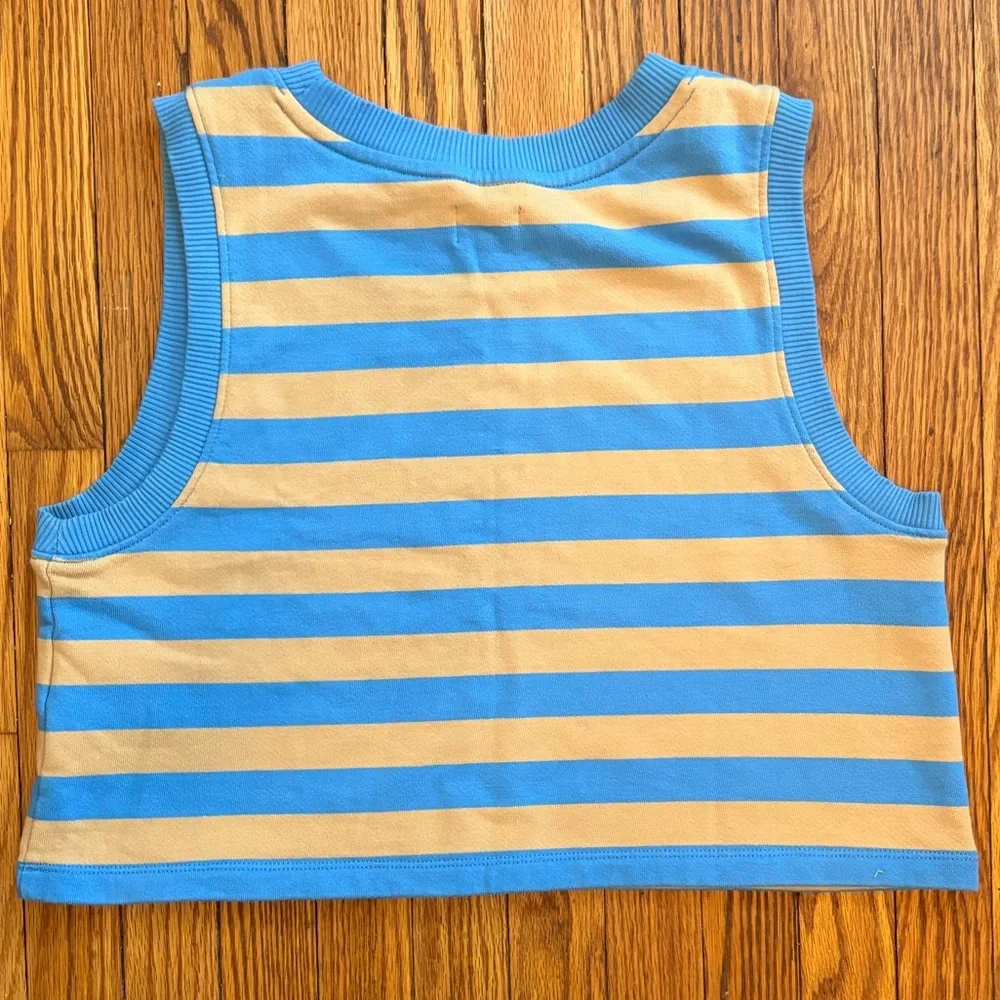Madewell Blue and Tan Striped Sleeveless Top size medium - Picture 2 of 3